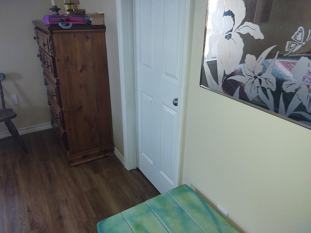 bedroom featuring dark wood-type flooring