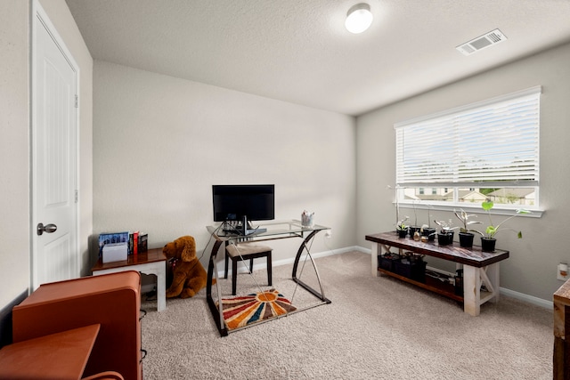 home office with light colored carpet and a textured ceiling