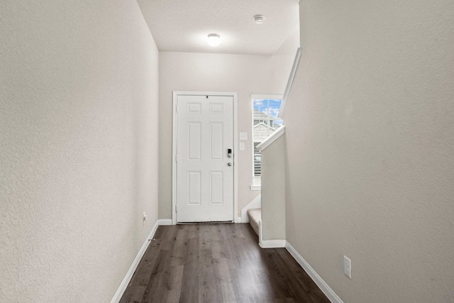 entryway featuring dark wood-type flooring