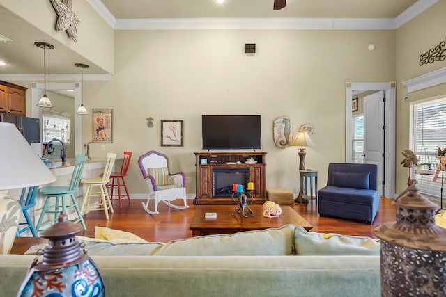 living room featuring crown molding, sink, and hardwood / wood-style floors