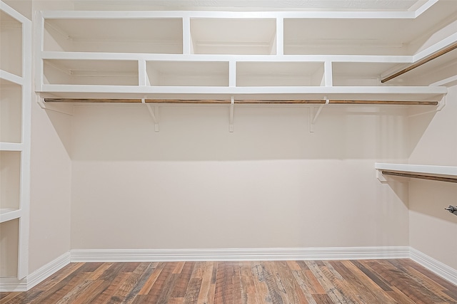 spacious closet featuring dark hardwood / wood-style flooring