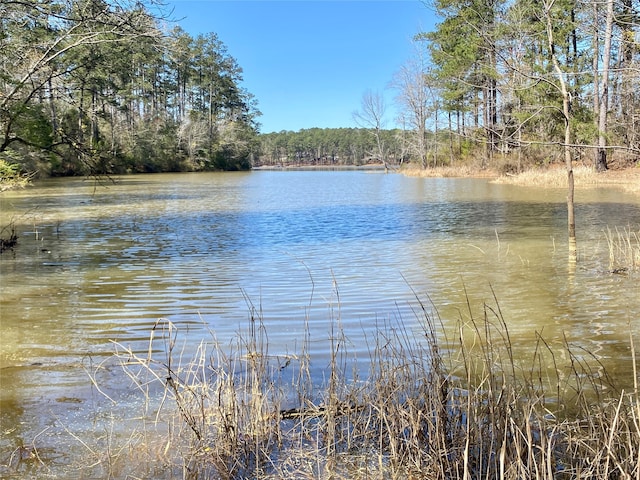 1339 Shimmering Water Cv, GA, 30668 land for sale