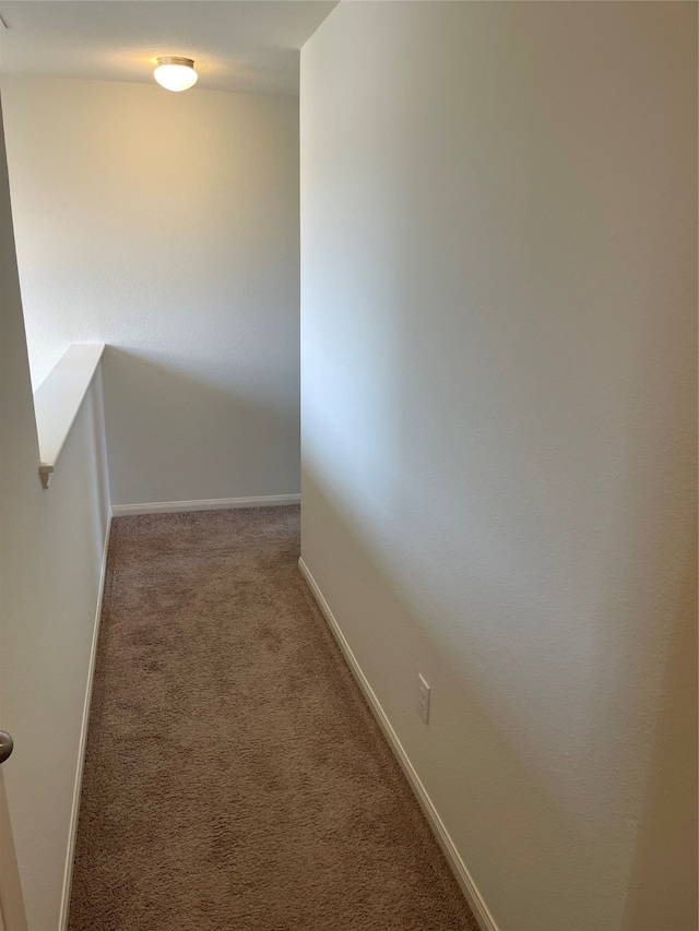 hallway with carpet floors