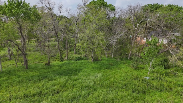 21502 Chenango Lake Dr, Angleton TX, 77515 land for sale