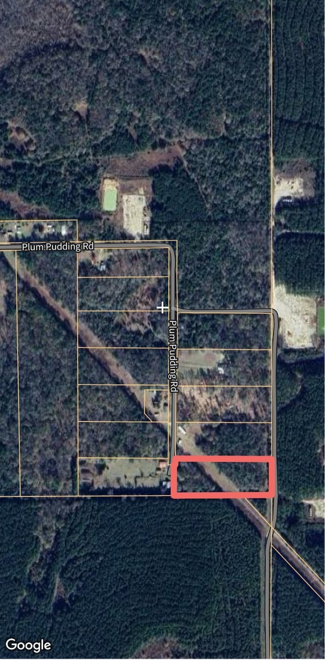 1353 Plum Pudding Rd, Livingston TX, 77351 land for sale