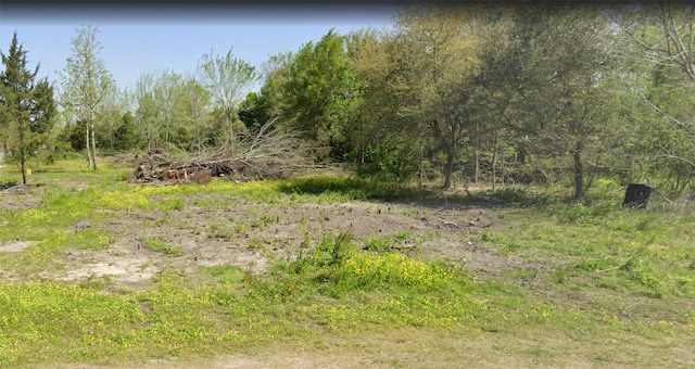 0 Brown St, Hitchcock TX, 77563 land for sale