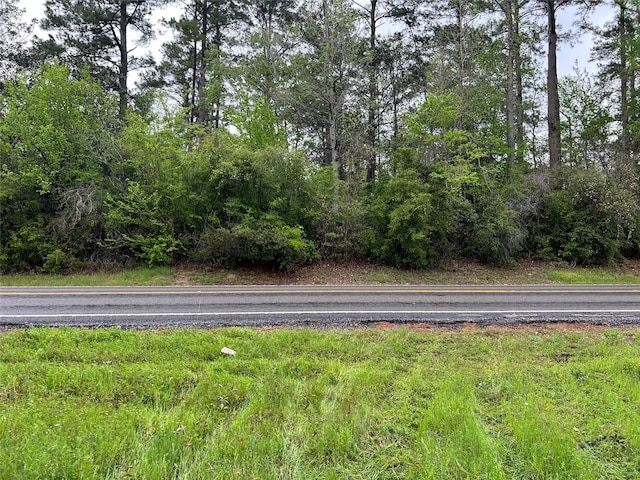 Listing photo 2 for TBD Farm Rd Unit 943, Livingston TX 77351