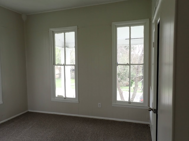 carpeted spare room with a wealth of natural light