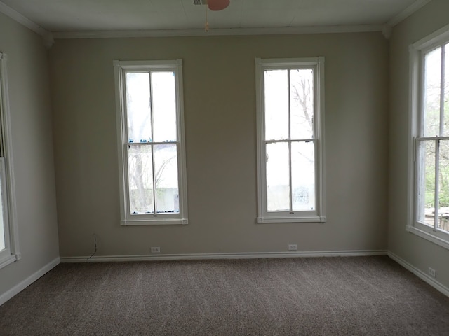 carpeted spare room featuring ceiling fan and ornamental molding