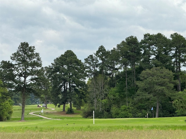 view of community with a yard