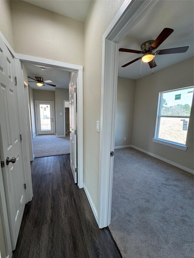 corridor featuring dark hardwood / wood-style flooring