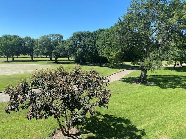 view of property's community featuring a yard