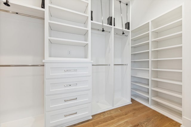 spacious closet with light hardwood / wood-style flooring