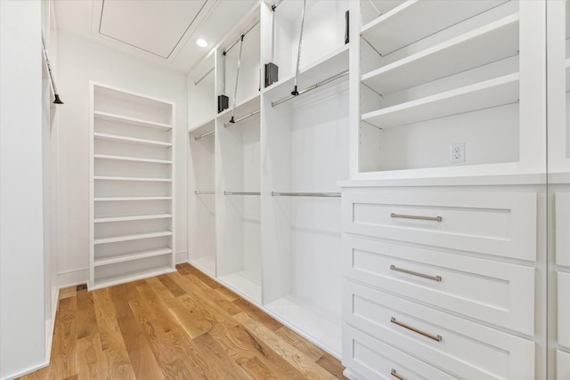 walk in closet with light wood-type flooring