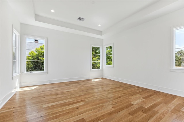 empty room featuring light hardwood / wood-style flooring and a wealth of natural light