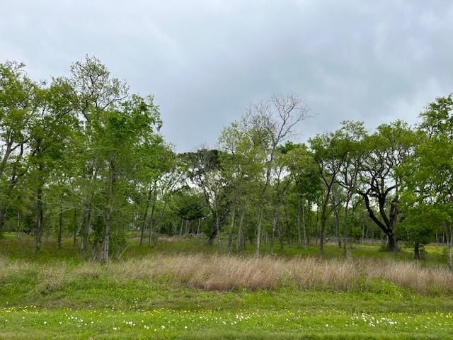 33611 Blue Marlin Dr, Richwood TX, 77515 land for sale