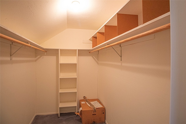 walk in closet featuring dark colored carpet