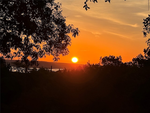 view of nature at dusk