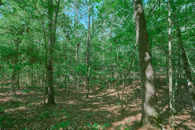 view of local wilderness featuring a wooded view