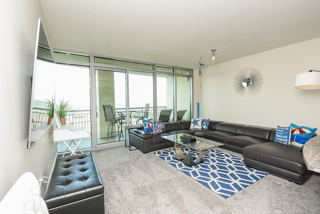 carpeted living room with a wall of windows