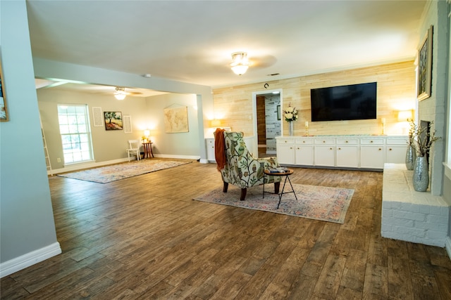 living room with ceiling fan and hardwood / wood-style flooring