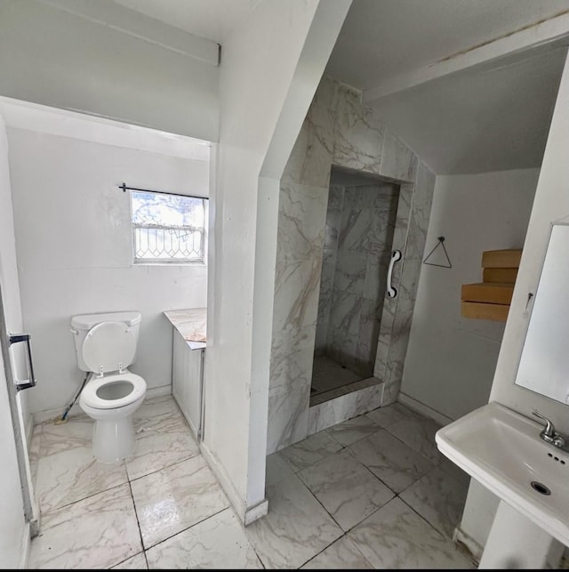 bathroom with toilet, marble finish floor, a marble finish shower, and a sink