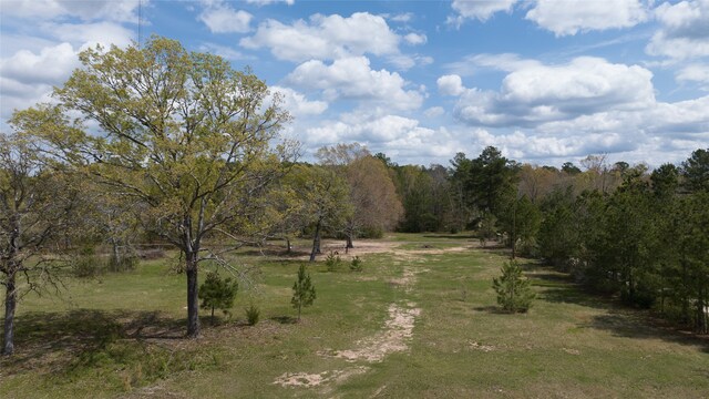 view of nature featuring a rural view