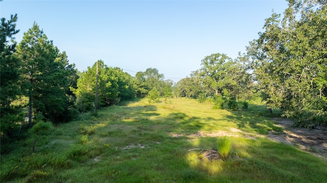 view of landscape