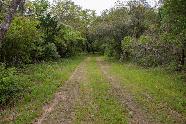 0 Hickory Pl, Weimar TX, 78962 land for sale