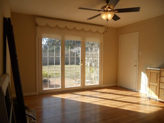 doorway featuring baseboards, a wealth of natural light, and wood finished floors