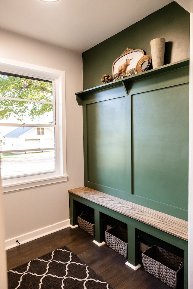 mudroom featuring dark wood-type flooring