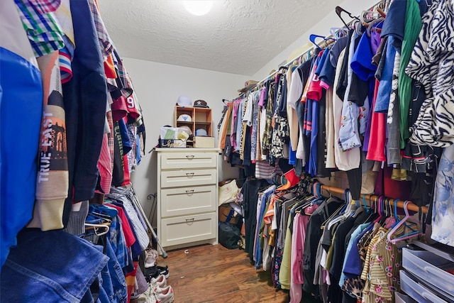 spacious closet with dark wood-type flooring