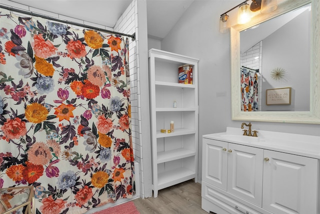 bathroom with wood-type flooring and vanity