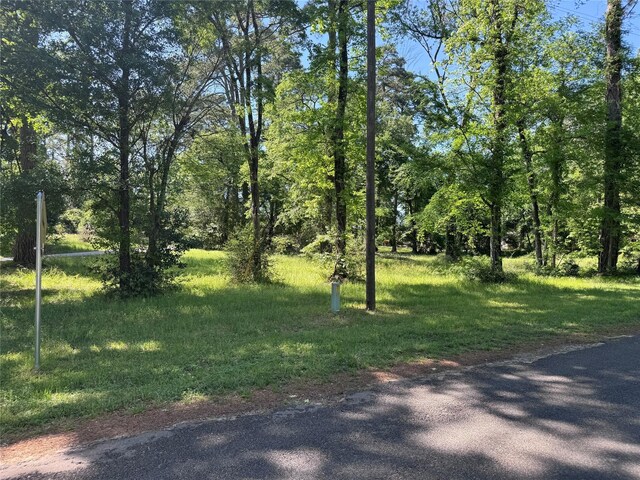 Listing photo 2 for 00 Chain Rd, Livingston TX 77351