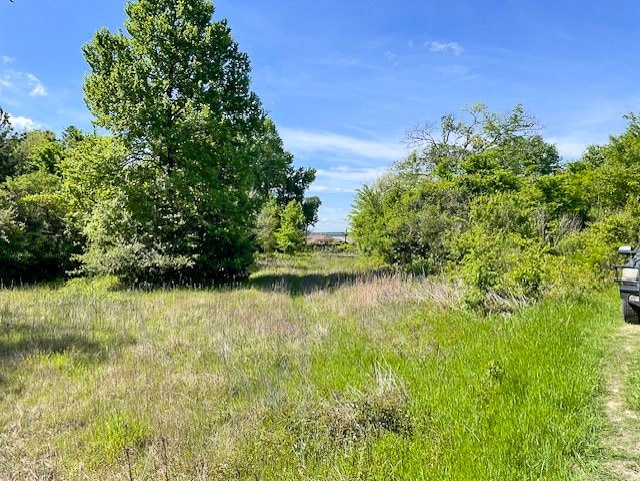 8763 Fm 365, Trinity TX, 75862 land for sale