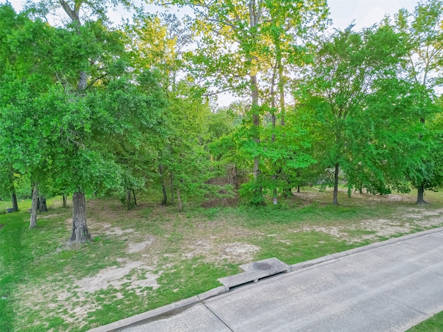 4833 W Fork Blvd, Conroe TX, 77304 land for sale