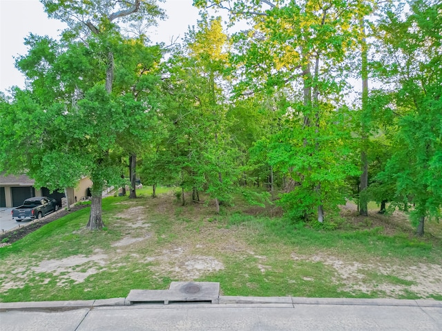 Listing photo 2 for 4833 W Fork Blvd, Conroe TX 77304