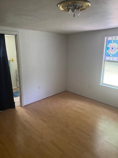 empty room featuring a textured ceiling and light hardwood / wood-style flooring