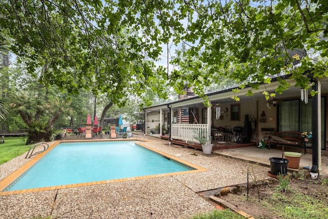 view of pool featuring a patio