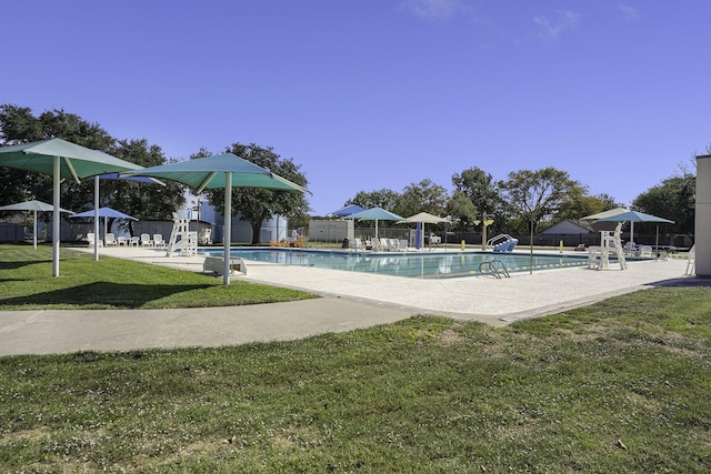 view of swimming pool with a patio and a lawn