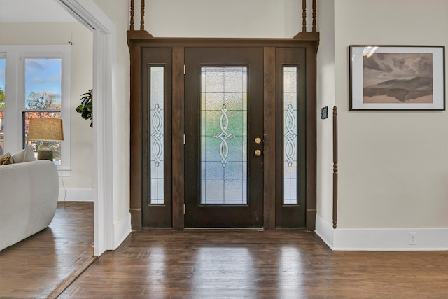 entryway featuring dark hardwood / wood-style flooring and plenty of natural light