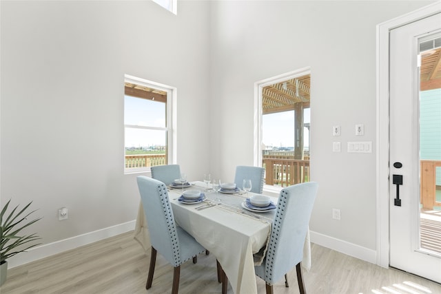 dining room with light hardwood / wood-style floors