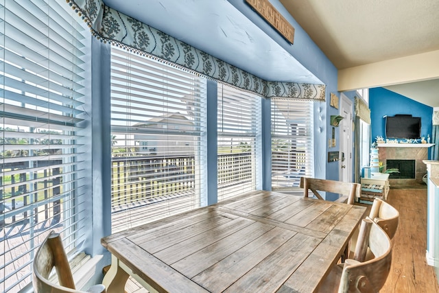 dining space featuring a wealth of natural light