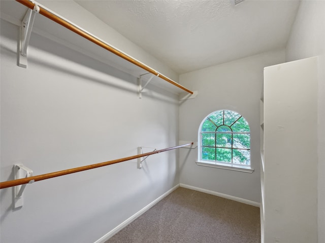 spacious closet featuring carpet floors