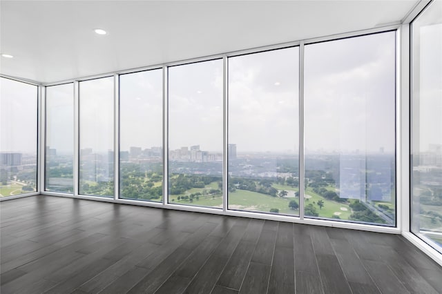 empty room featuring floor to ceiling windows and dark wood-type flooring