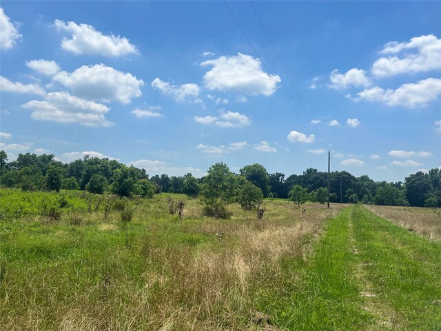 TBD County Road 2326, Dayton, TX 77535 - photo 8