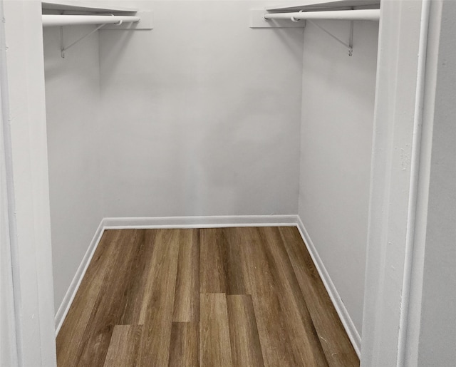 spacious closet featuring wood-type flooring