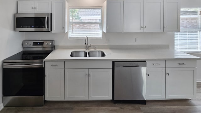 kitchen featuring dark hardwood / wood-style flooring, stainless steel appliances, sink, and white cabinetry