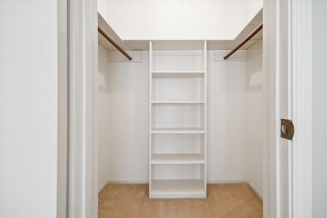 spacious closet with light carpet