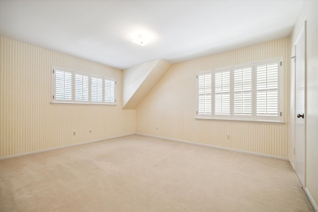 additional living space with light carpet and plenty of natural light